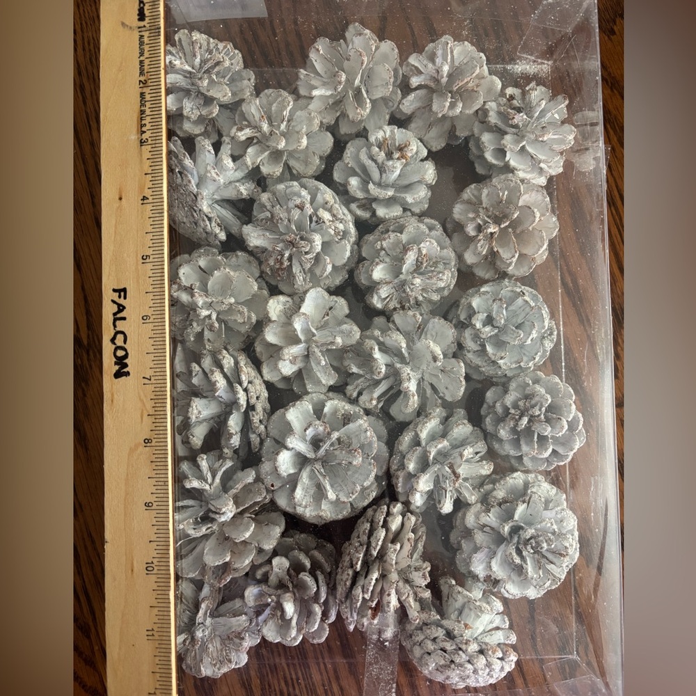 Frosted Pine Cone Decorative Set